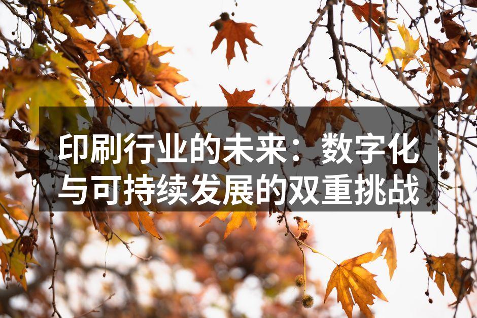 数字印刷设备的高效运作